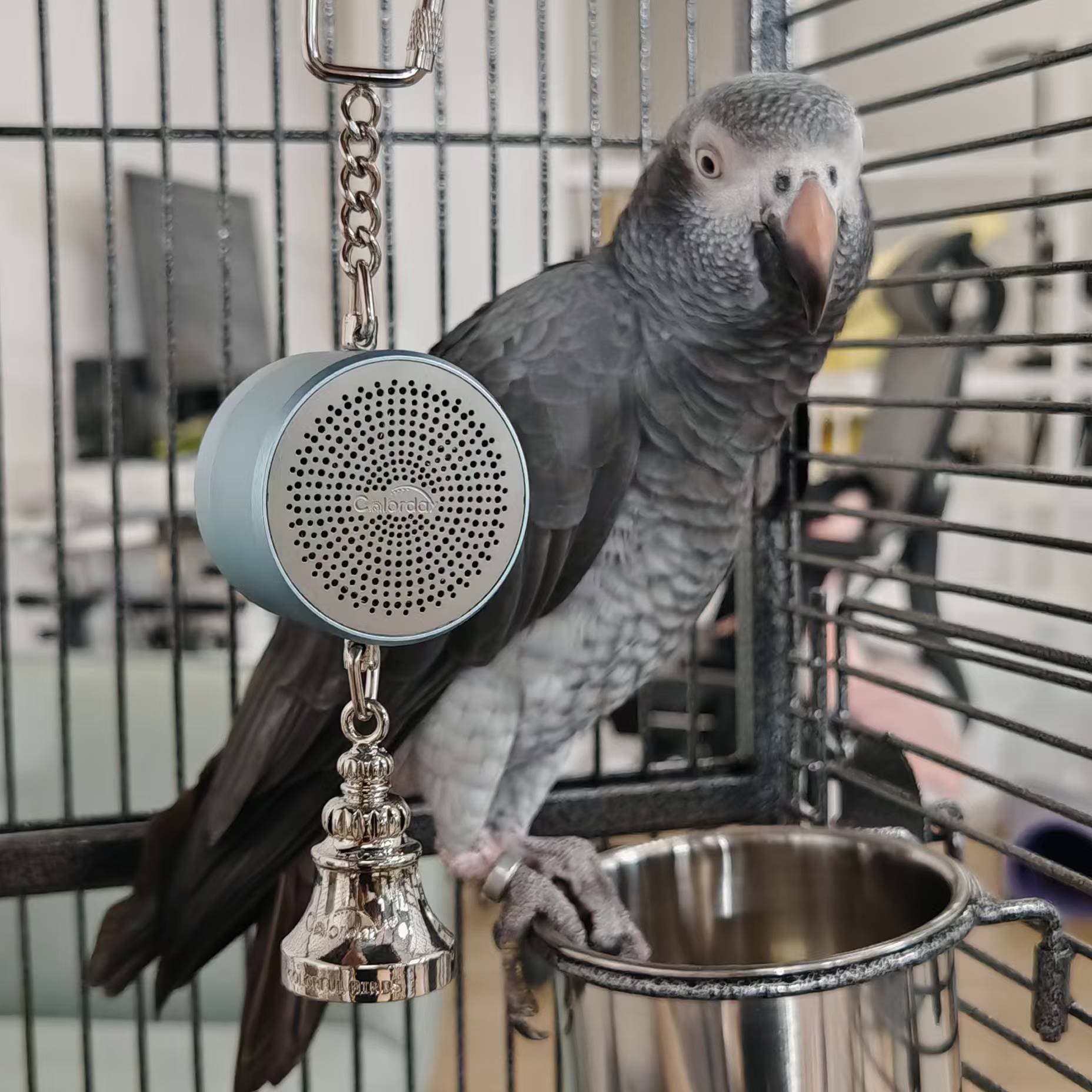 Parrot Toys to Teaching Training Bird Talking Coach Interactive Recording Playback Retell 