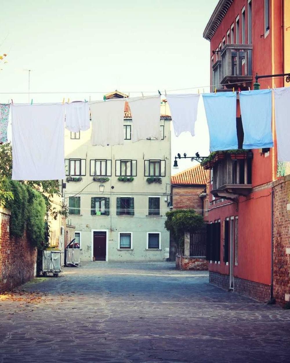 Red Light Recovery Belt